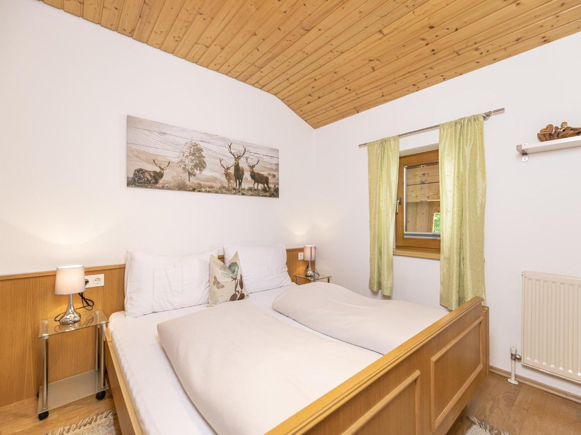 With Panoramic View Appartement Ramsau im Zillertal