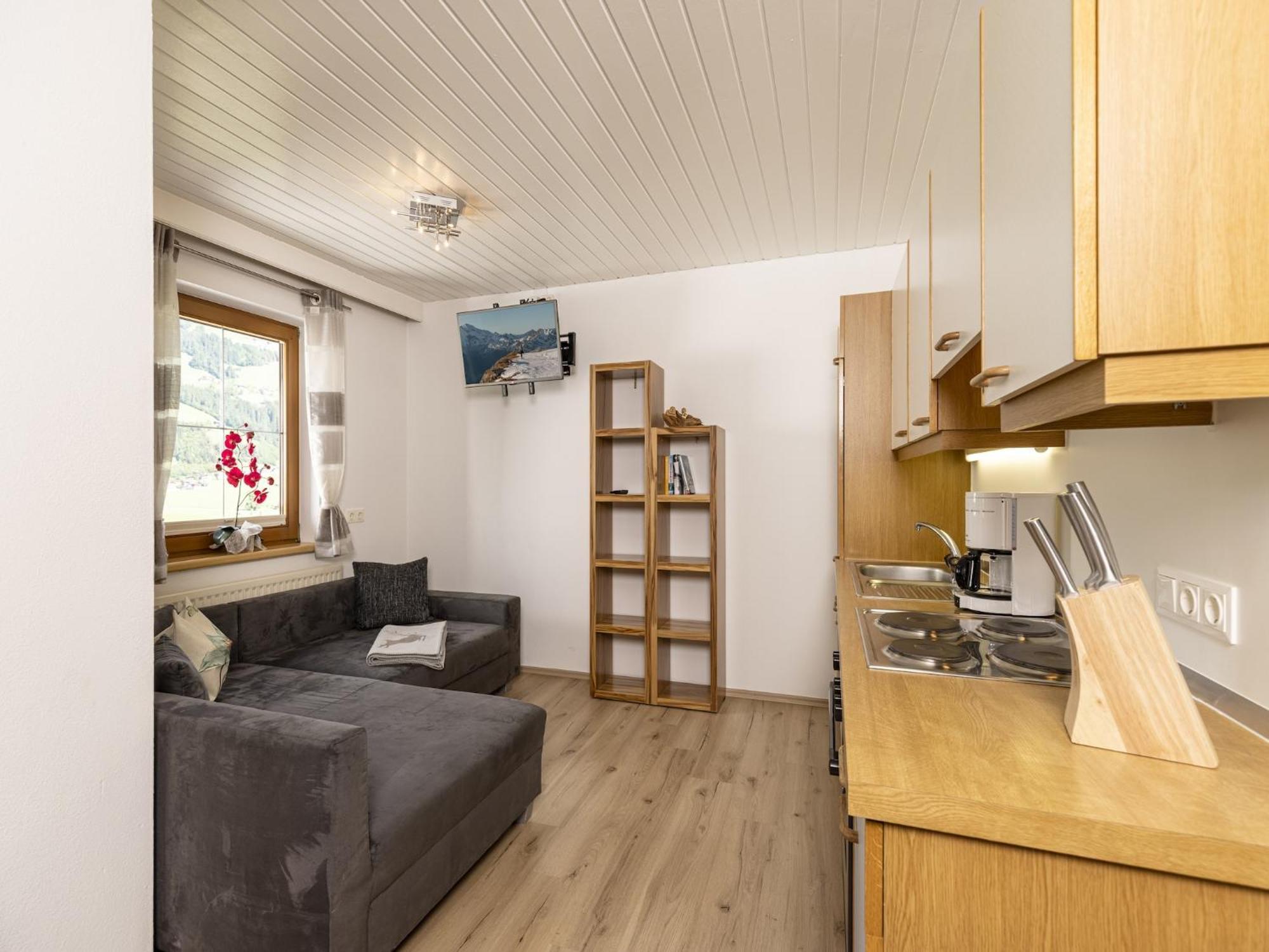 With Panoramic View Appartement Ramsau im Zillertal